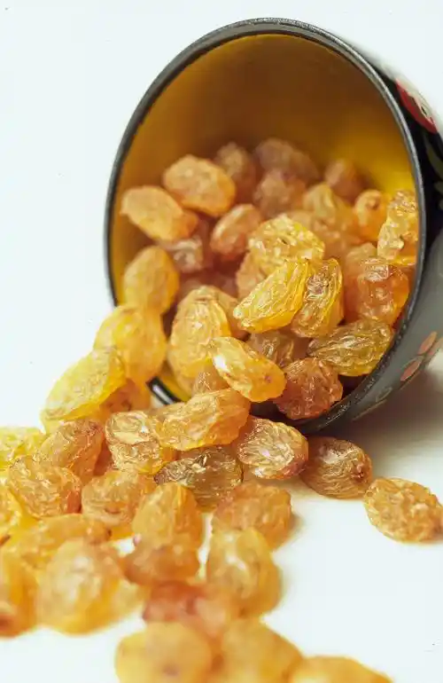 Golden raisins spilling from a small container