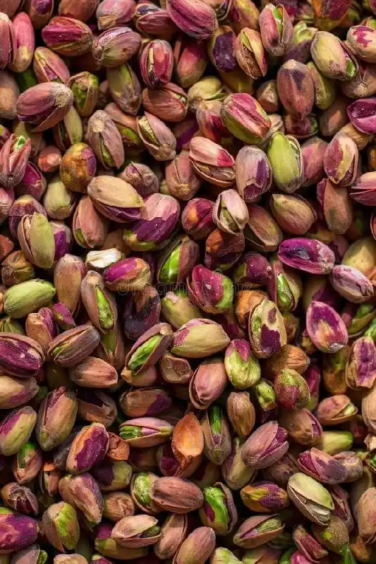 Close-up of premium Persian pistachios